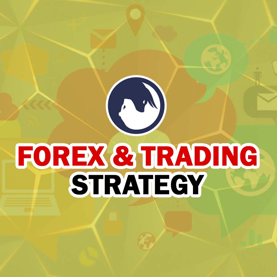 Forek And Trading Strategy 1